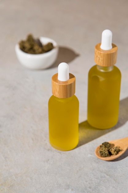 Canine Wellness: Benefits of CBD Oil for Dogs in Canada