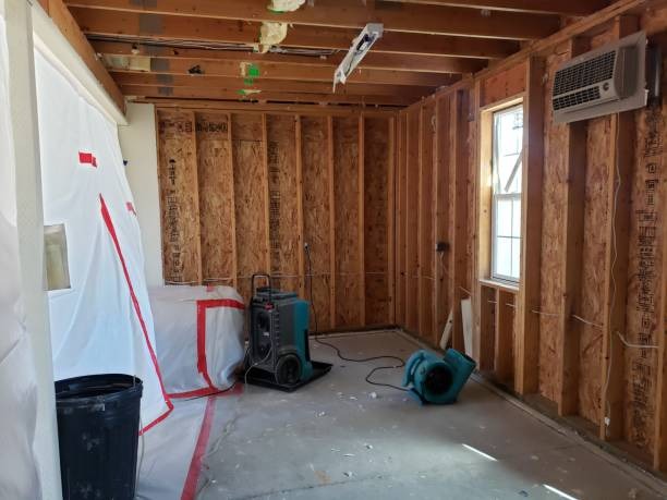 Fast Flood Repair Near Me Trusted Local Experts
