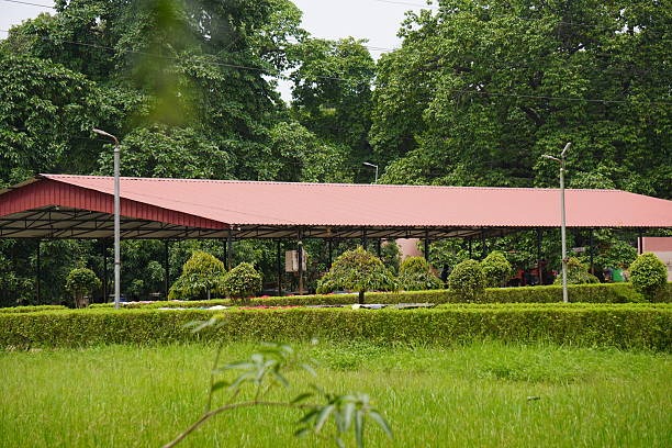 Shed Roofing Options and What Works Best in Texas