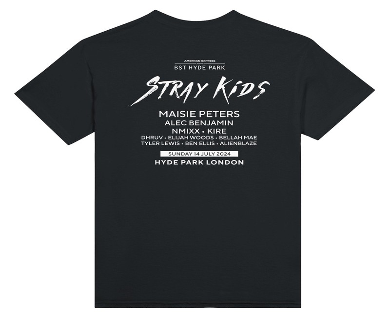 Complete Guide to Stray Kids MerchOfficial store Shopping Experience